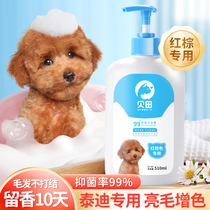 Betian Teddy Body Lotion Special Dog Body Wash of Bath Lotion BACTERIOSTATIC ANTI-ODOUR PERSISTENT AROMA PET BATHING SUPPLIES