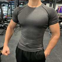 Clearance breathable running sports fitness suit Mens elastic quick-drying tights Basketball training short sleeves