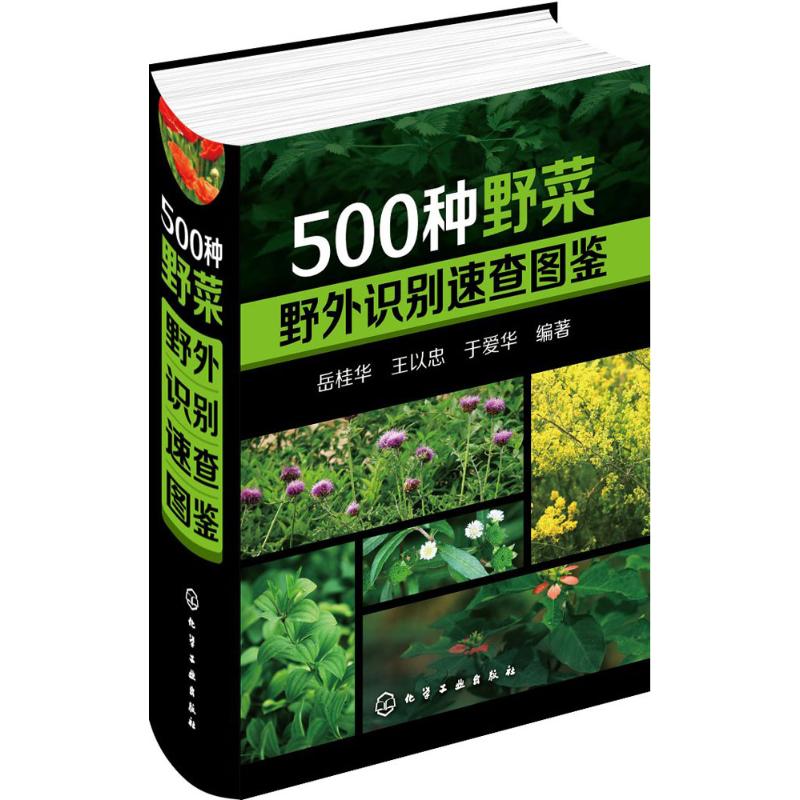 500種野菜野外識別速查圖鋻 嶽桂華,王以忠,於愛華 編著 著作 家