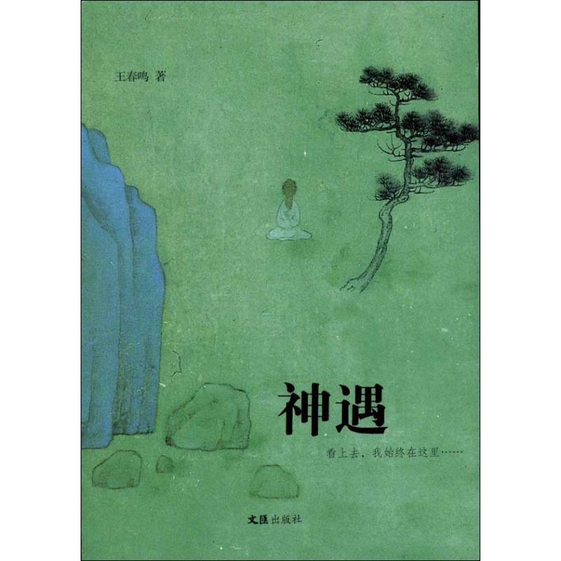 神遇 王春鳴 著作 科幻小說文學 新華書店正版圖書籍 文彙出版社