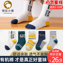 Qi Pyrene Small Pig Children Boy Socks Pure Cotton Autumn winter 12 CUHK Scout 15 year old Silo Socks Boy Thickened Cotton Socks