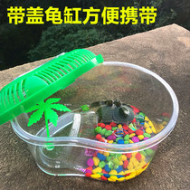 Turtle tank with 2 small turtles Brazilian tortoise Turtle box with sun table turtle basin Pet box Valentines Day Childrens gift