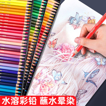 Japanese cherry blossom water soluble color lead 48 color iron case oily colored pencil 72 color beginner painting student hand drawing