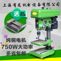 Youlong 16MM20MM bench drilling bench drilling machine Industrial high power 550W750W drilling and milling machine all copper multi-function