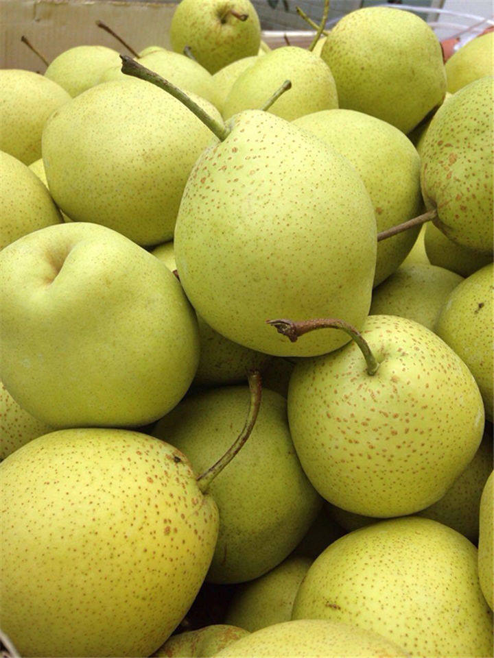 珍疆园现摘正宗雪花梨