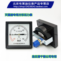 Brady square meter Lianyungang special instrument sterilizer special pressure gauge M20 * 1 5