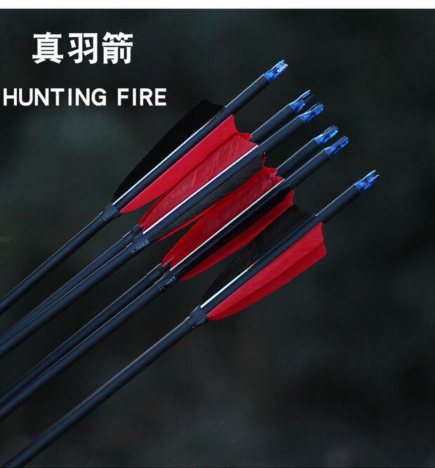 弓箭箭支碳箭射箭运动狩猎混碳箭箭支箭头羽毛碳素真羽箭可换箭头_双