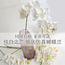 Single simulation butterfly orchid living room decoration Flower Home silk flower fake flower wedding white oversized ornaments decoration flower