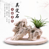 Taiwan Wu Dingshi Water-absorbing stone Bonsai pot Dragon whisker calamus flower pot planting small ornaments decorative natural original stone carving