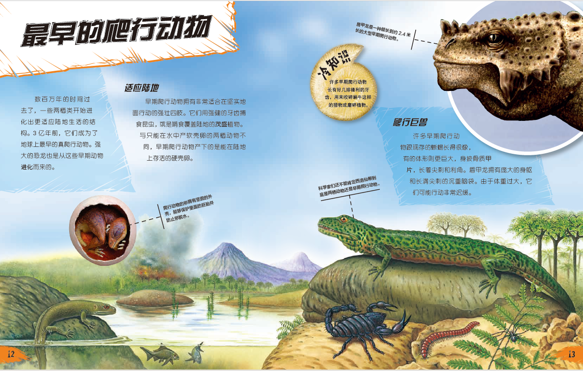 环球探索探秘百科 动物王国 恐龙时代 鲨鱼海域 关于恐龙的书籍图书 6