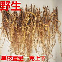Wild 25 ~ 30 years wild Mountain ginseng Changbai Mountain Ginseng Box Northeast wild Mountain ginseng Non-forest ginseng 12 gr