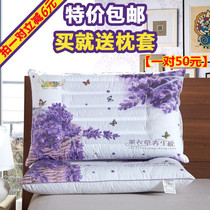 Counter Cassia health pillow buckwheat pillow lavender pillow full cotton straw pillow a pair of Pats 2