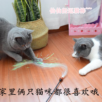 Loud paper teasing cat with cat toy teasing cat with cat-fun kitty interacting toy teasing cat sticks optional
