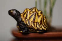 Naughty Bamboo Hall Stuffed With Small Turtle and Stuffed Animal Custom Zodiac Small Pendant by Japanese Return Angle Carved Bouquets