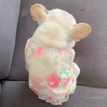 Fardou Skirt Summer Bago Clothes Slim pets Puppets Skirt Summer Snowspun Doll Skirt dress