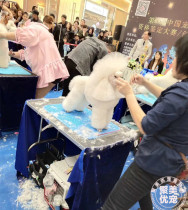 Net weight 450gNGKCCKU pet beauty shop school examination appraisal beauty table pet non-slip mat