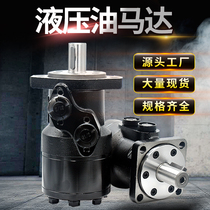 Zhenjiang Dali brand cycloidal hydraulic oil motor BMR-80BMR-100BMR-125BMR-160BMR-200