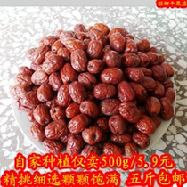 Cangzhou jujube specialty steamed steamed bread dumplings cooking porridge snacks small gold silk jujube 500g jujube 5kg