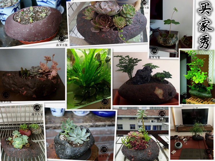 原生态天然石头花盆创意双孔鹅卵石花器水培多肉植物盆栽绿植包邮