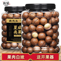 Tauni_Hawaiian fruit 500g bag canned large shell thin flesh full snack nut spinner