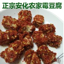 Hunan specialty Anhua mold tofu farmers homemade handmade spicy tofu milk Spicy no addition 500 grams