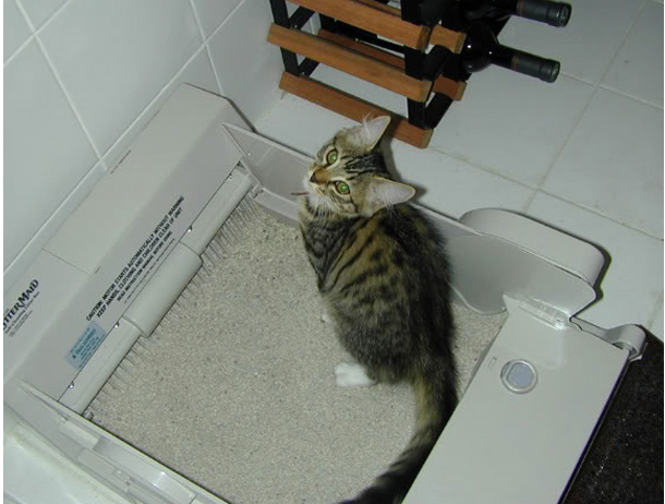 品牌:littermaid/莱特猫 规格:xl 宠物厕所类型:封闭