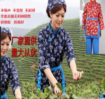 Ethnic dance costumes costumes A Qingyi village girl costume costume tea costume costume