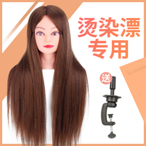 Hot Dyeing Bleach Mold Dummy head Beauty Fat Model Head True Fat Genuine Apprentice Model Live-action Fake hair model paparazzi head