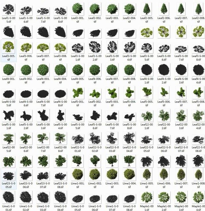 【景观总平面图必备】高清分层真实 平面树