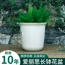 Alice thickened resin plastic long bowl with green rice hair chaise tree orchid green plant imitation ceramic clear cabin love Lith flower pot