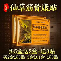 Cervical spondylosis cervical spine pain plaster pain leg paste lumbar muscle strain lumbar disc protrusion patch low back pain