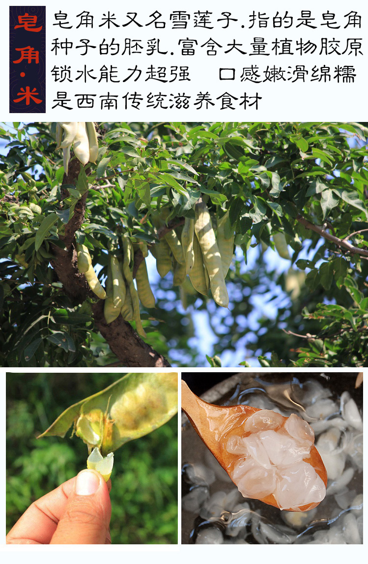 500g云南天然野生纯皂角米一斤单荚小籽无糖无硫 可搭配桃胶雪燕