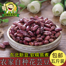 Northeast Farmhouse Fresh Red Kidney Beans Big Rice Beans 5 Jin Heilongjiang Green Beans Purple Kidney Beans Hualwain Beans Safflower Beans
