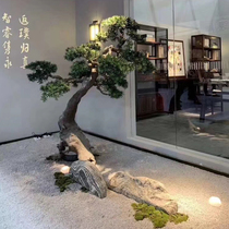 Plant decoration greets pine cliff pap home lobby Chinese style beautification large simulation tree tree green plant