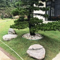 Hangzhou natural Taishan stone snow wave stone turf grass stone embellishment stone Rockery stone stone strange stone barge Stone origin direct sales