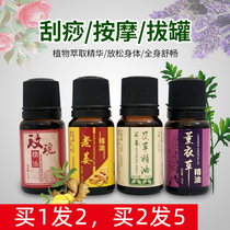 Wormwood oil wormwood essential oil through the whole body Ginger scraping oil meridian lavender massage rose back