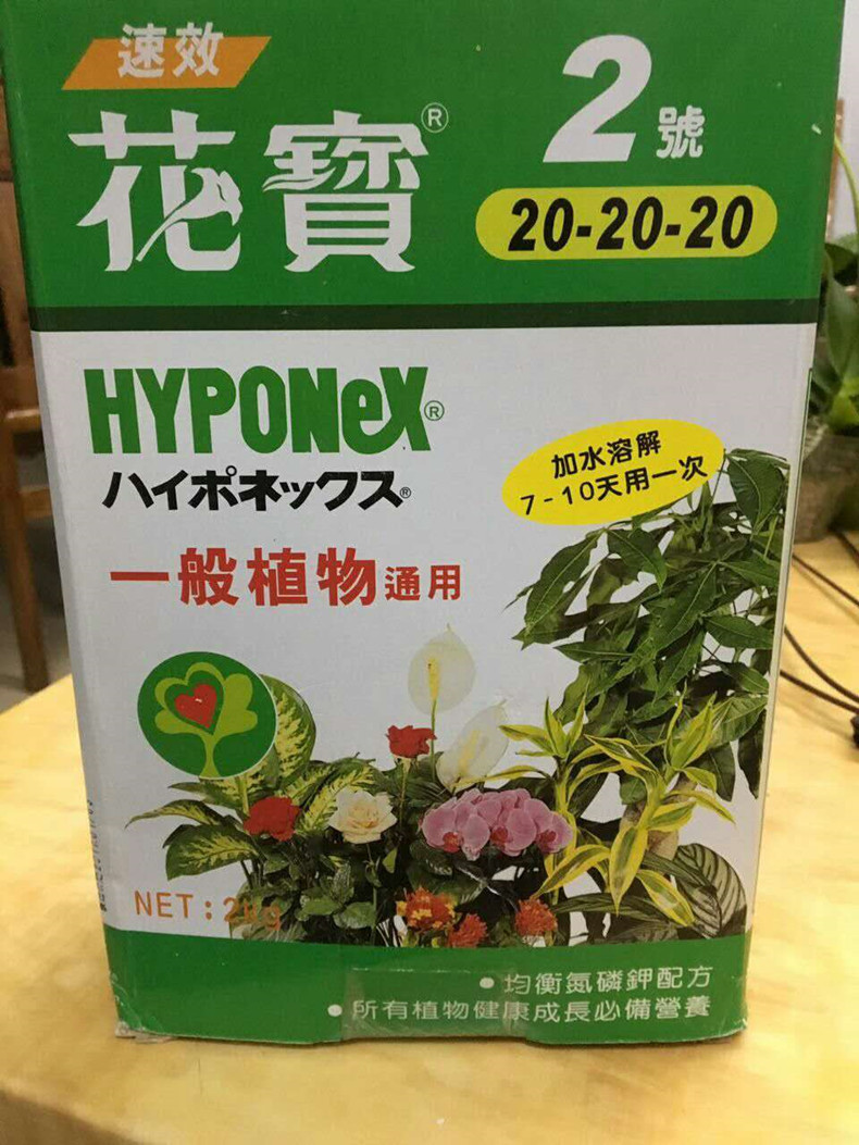 蝴蝶兰专用肥料花宝2号平均肥植物花肥50克一包