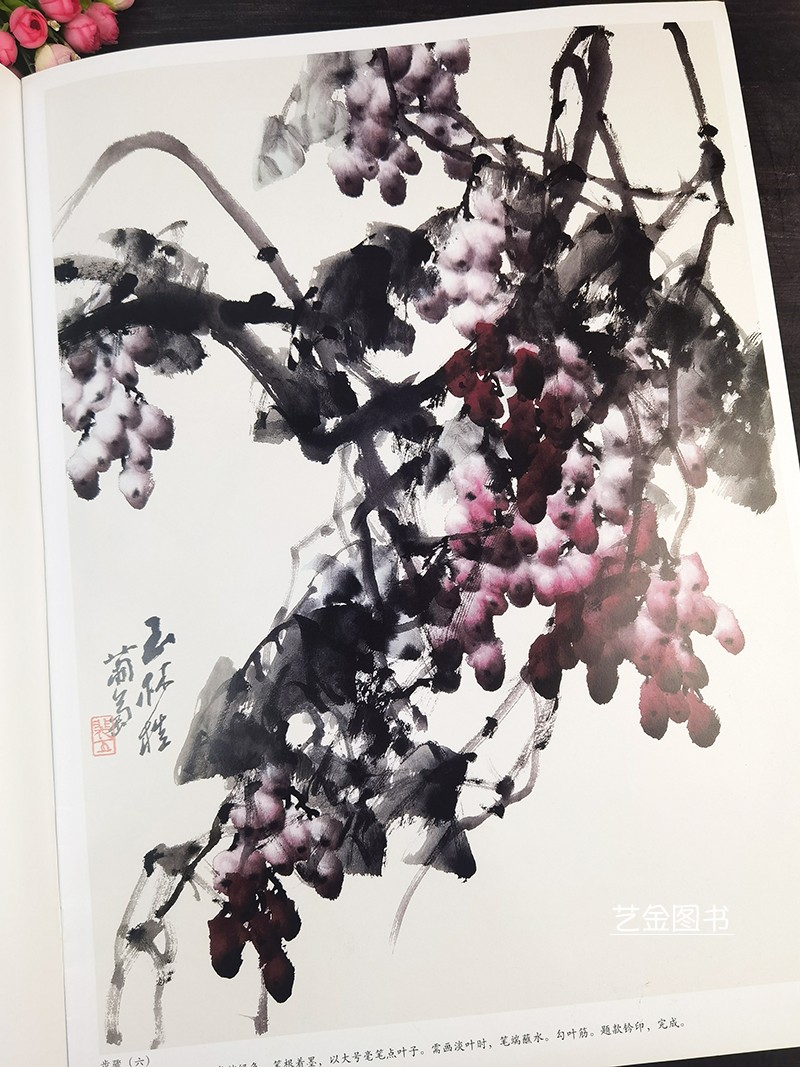 大四开本 写意葡萄画法 美术教学示范作品裴玉林编绘中国水墨画水墨