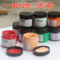 Propylene Pigments 100ml children Diy hand-painted waterproof without falling color painting Graffiti painting material beginners Propylene Painting