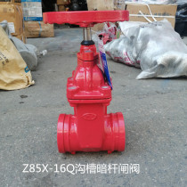 Shanghai Shanghai Gong valve dark Rod groove gate valve Z85X-16Q open Rod groove gate valve Z81X-16QDN100