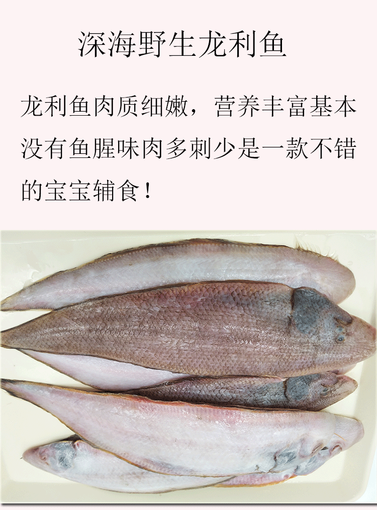 野生海捕龙利鱼新鲜海鲜深海舌头鱼踏板鱼鲜活冷冻3份顺丰包邮