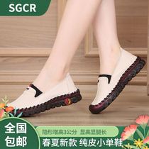 Yi Jing invisible heightening shoes show high legs Changchun Summer new pure leather small single shoes breathable casual shoes trend
