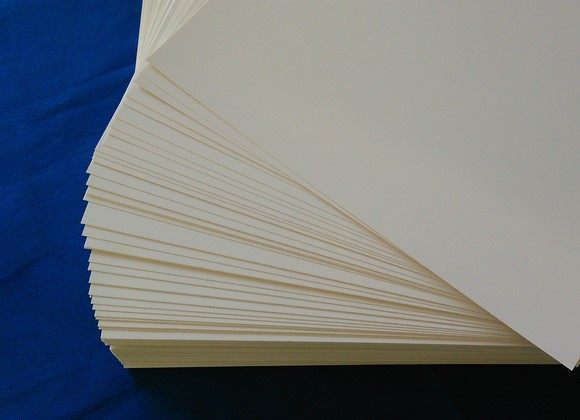 加厚循环使用吸水纸45*29cm植物标本夹树叶夹专用 生物教学仪器