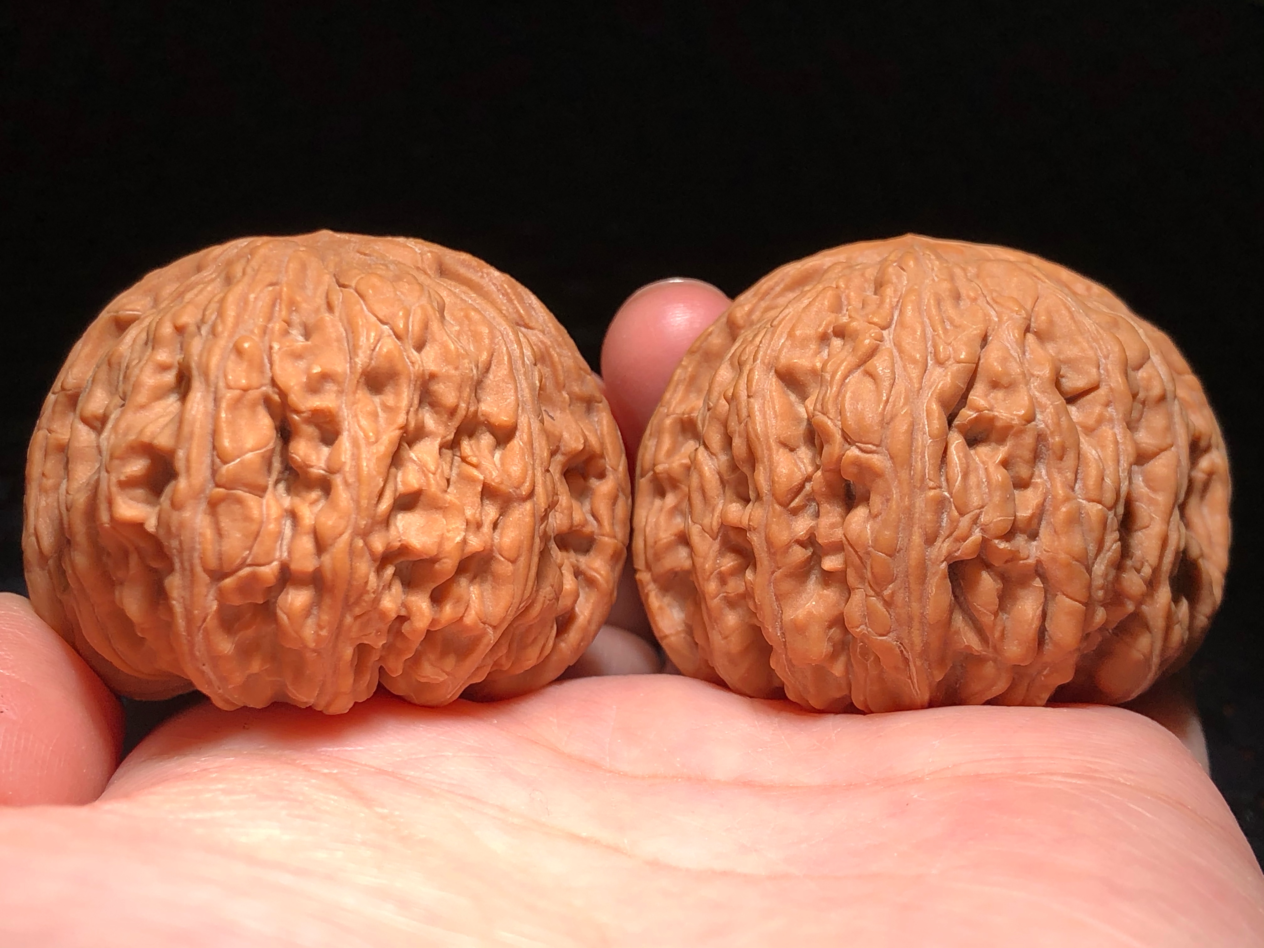 核核美美文玩核桃42.0正宗野生小众密纹狮子头精品收藏级a480