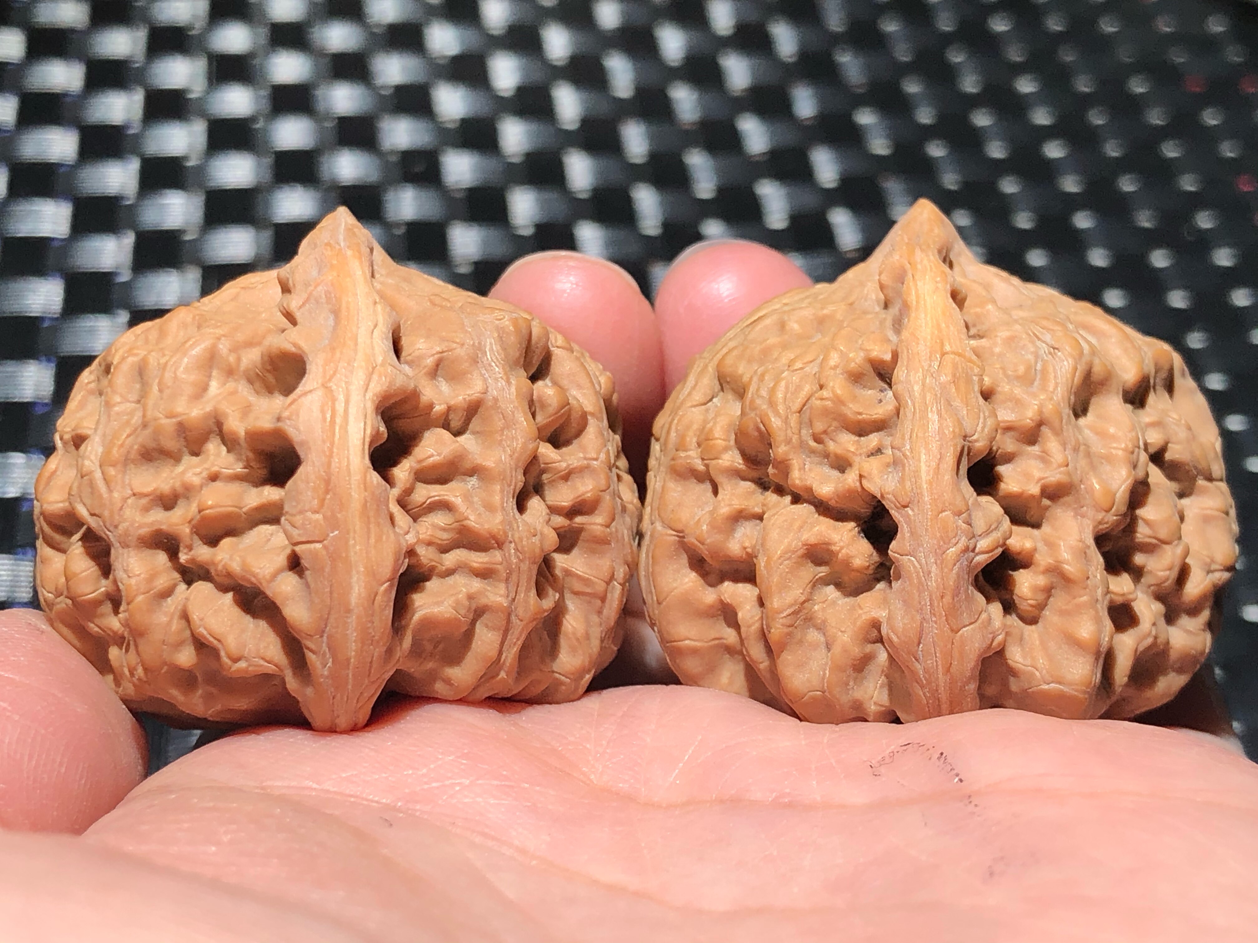 核核美美文玩核桃野生小众玄武狮子头精品收藏级a602