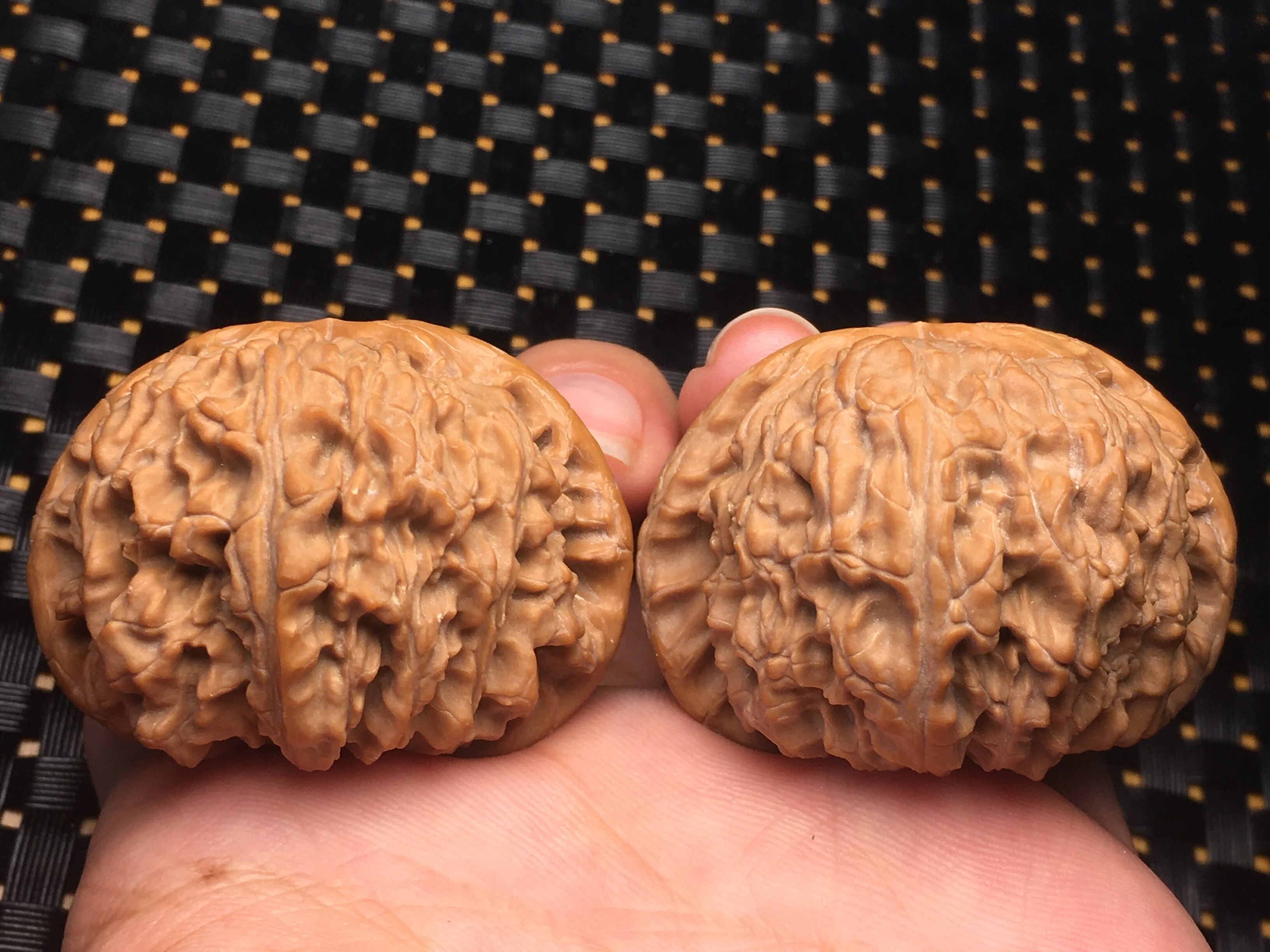 核核美美文玩核桃45.5正宗王三闷尖白狮子精品收藏级a514