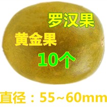 Guangxi Guilin Special production low temperature vacuum dehydrated freeze-dried fresh grosvenori 10 gold fruits dried fruit tea bagged