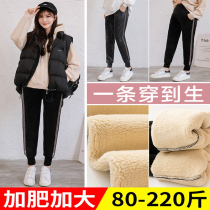 Pregnant women in winter lambskin thickened warm northeast cotton pants fat plus size 200 pounds loose sports leggings