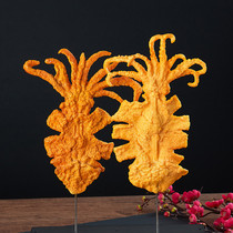 Recommended simulation iron plate bombing big squid model octopus foot octopus whisker sample food festival model display
