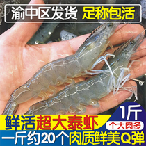Fresh Thai shrimp 500g sea shrimp oversized Thai Kewei shrimp live shrimp white prawn Thai shrimp Chongqing Dada 90 minutes
